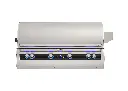 FM_E1060i_Echelon-Built-In-Grill_Digital.webp