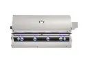 FM_E1060i_Echelon-Built-In-Grill_Analog (1).webp
