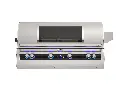 FM_E1060i_Echelon-Built-In-Grill_Digital-Window.webp