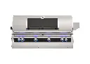 FM_E1060i_Echelon-Built-In-Grill_Analog-Window.webp