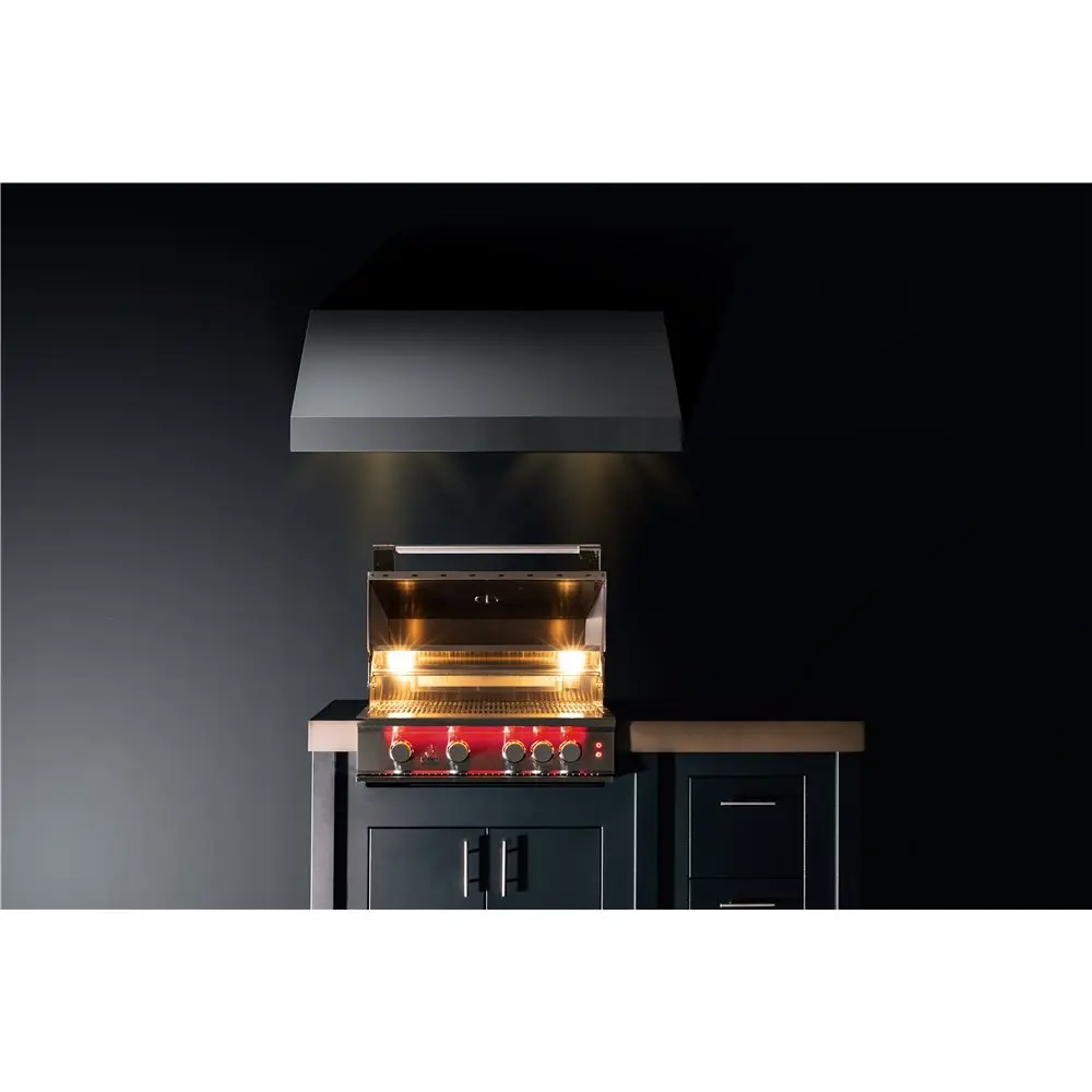 14-trueflame-grill-built-in-with-vent-hood.webp