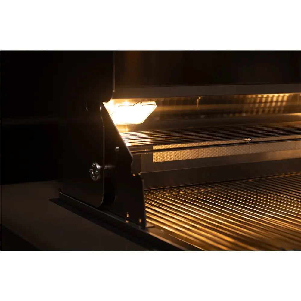 10-trueflame-grill-interior-lighting-back-burner.webp
